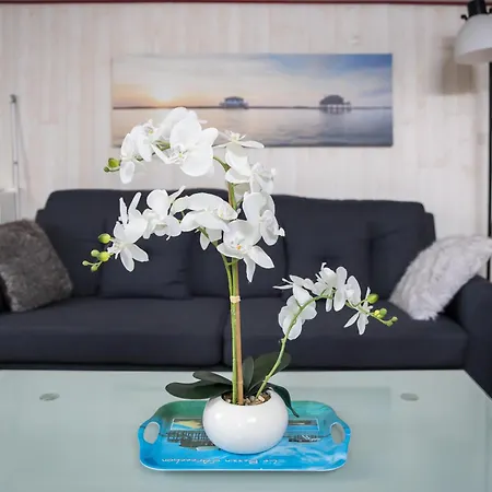 Le Grand T2 D'andernos Andernos-les-Bains